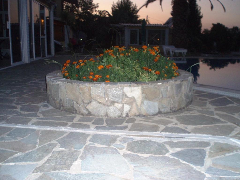 סידריון Loula Apartments מראה חיצוני תמונה